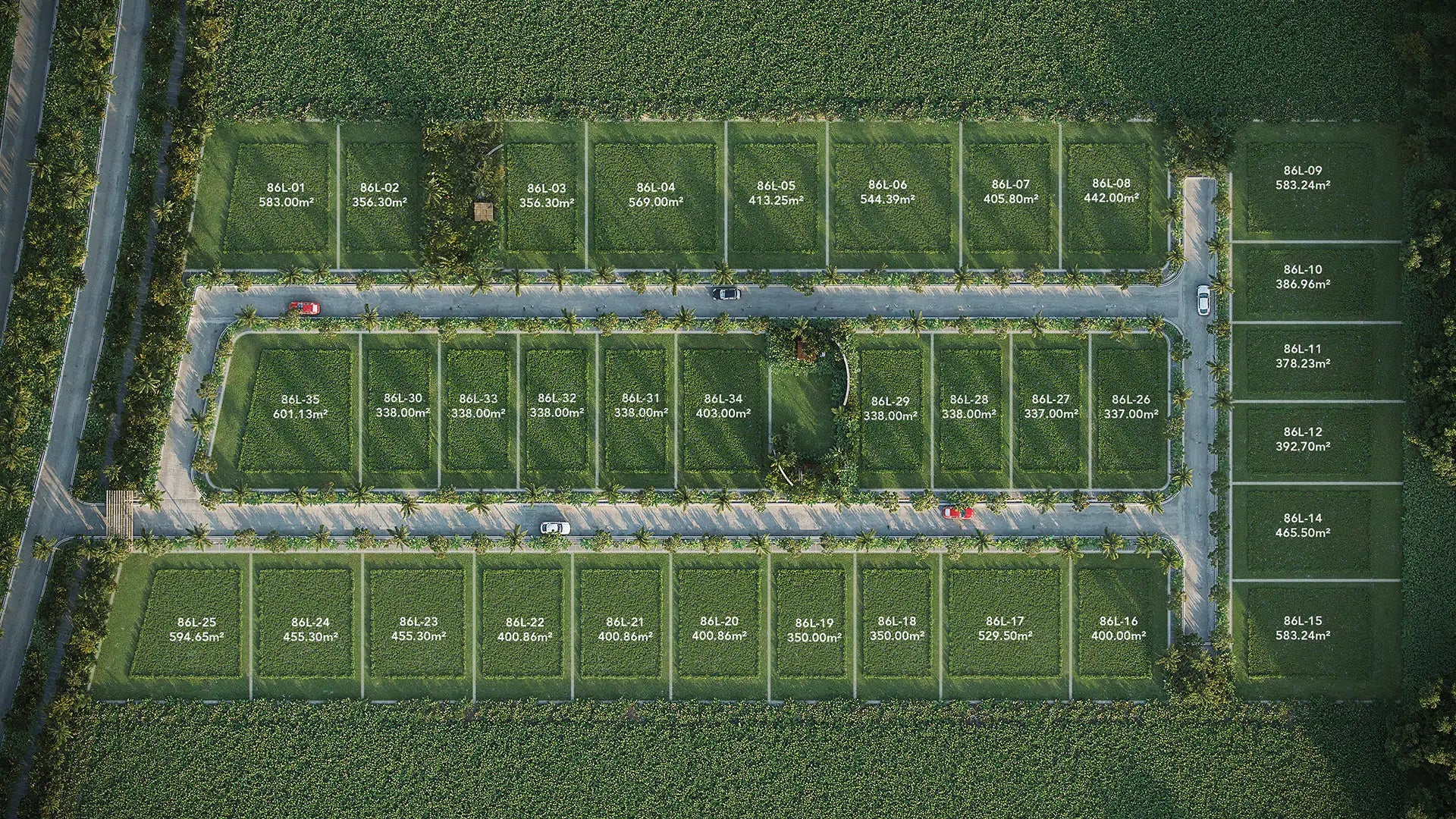 Los Olivos
